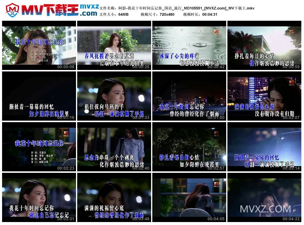 阿影-我花十年时间忘记你_国语_流行_MD105551